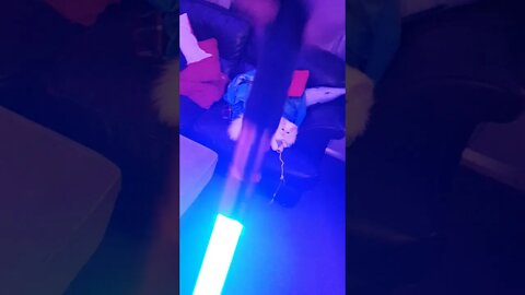 Cat vs lightsaber