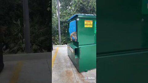 This Happens Only In Florida tiktok chocxlatemilk