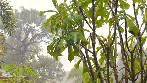 Sounds of the Rain are Amazing for Relaxation.