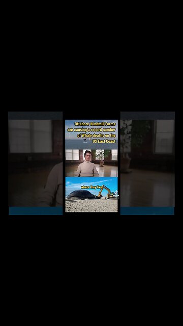 Offshore Windmill Farms are causing a record number of Whale Deaths on the US East Coast