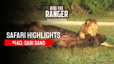 Safari Highlights #140: 05 - 08 April 2012 | Sabi Sand Nature Reserve | Latest Wildlife Sightings