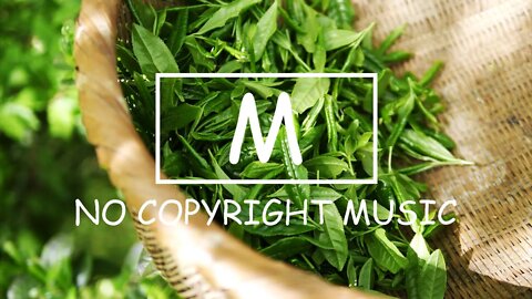 Old Friend - Silent Partner（Mm No Copyright Music）