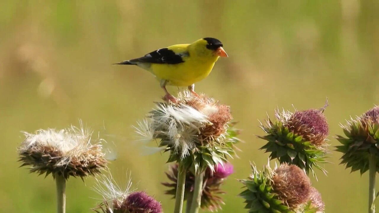 3983 Days Left For The Planet