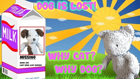 Dog is lost!
