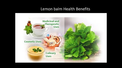 Lemon Balm's Calming Benefits