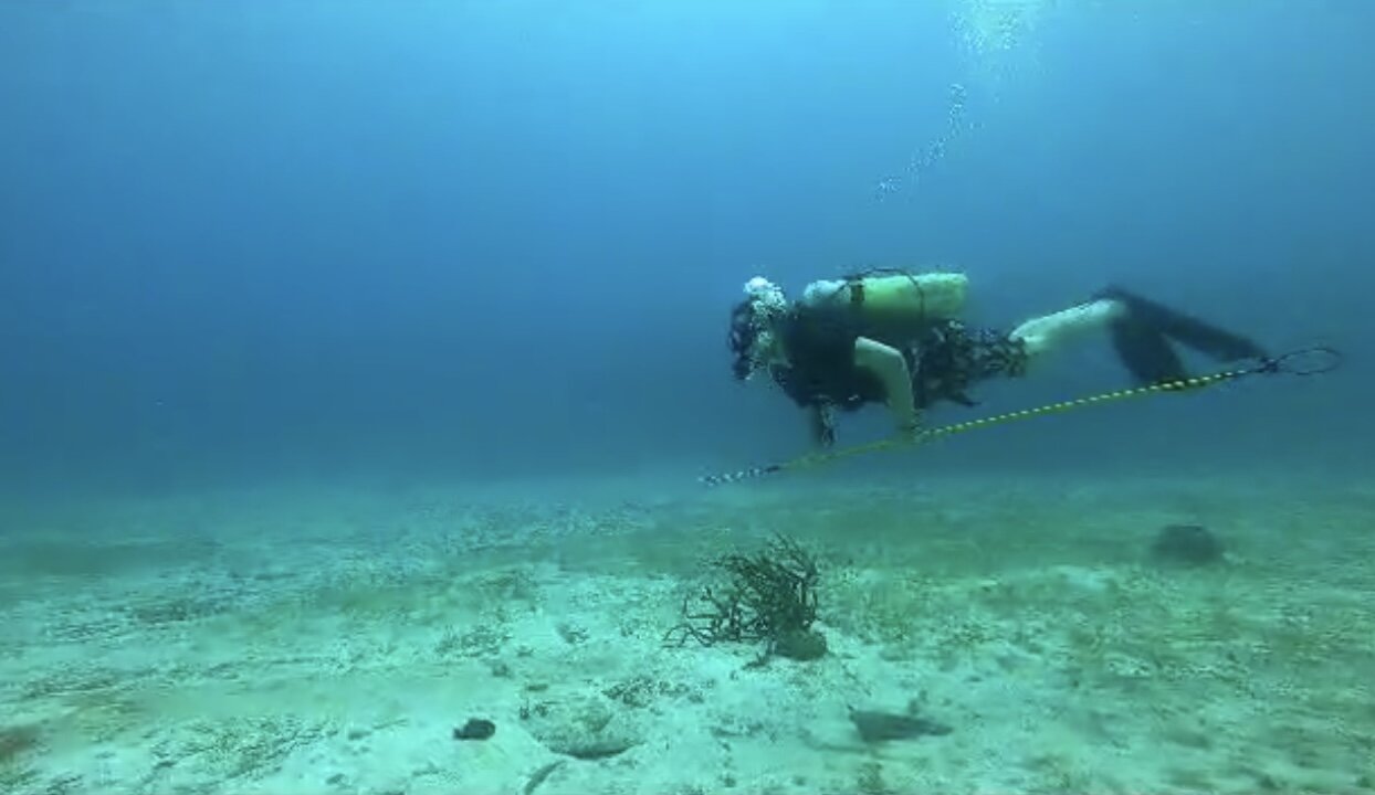 Scuba diving in Negril