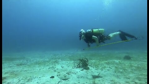 Scuba diving in Negril