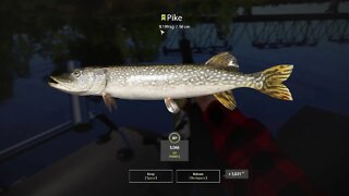 Russian Fishing 4 Volkhov River Pike 9 . 199 Kg