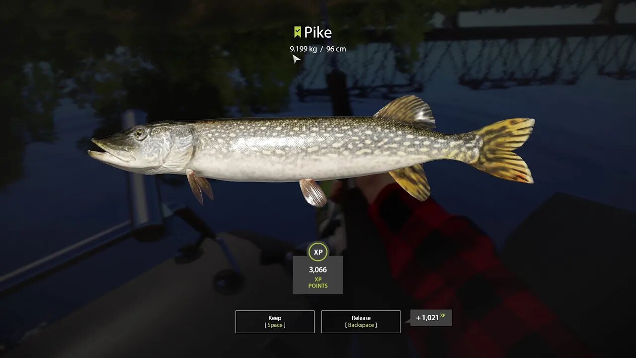 Russian Fishing 4 Volkhov River Pike 9 . 199 Kg