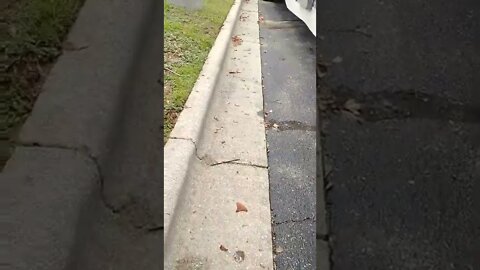 #gangstalking perp walk 06/30/2022 Pt. 2