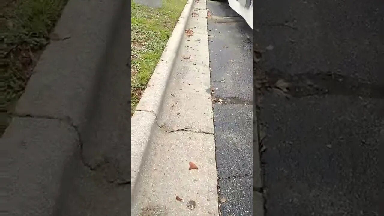 #gangstalking perp walk 06/30/2022 Pt. 2