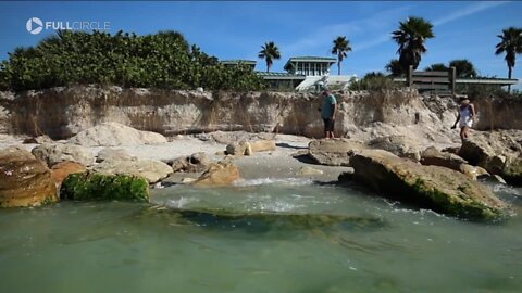 Full Circle: Battered and bruised by extreme weather, the race is on to make Florida more resilient