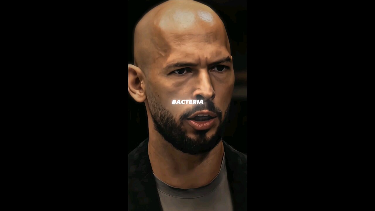 YOUR ARE AN IDIOT 🤨 [ Andrew ]
