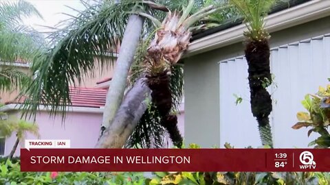 Possible tornado damages homes in Wellington