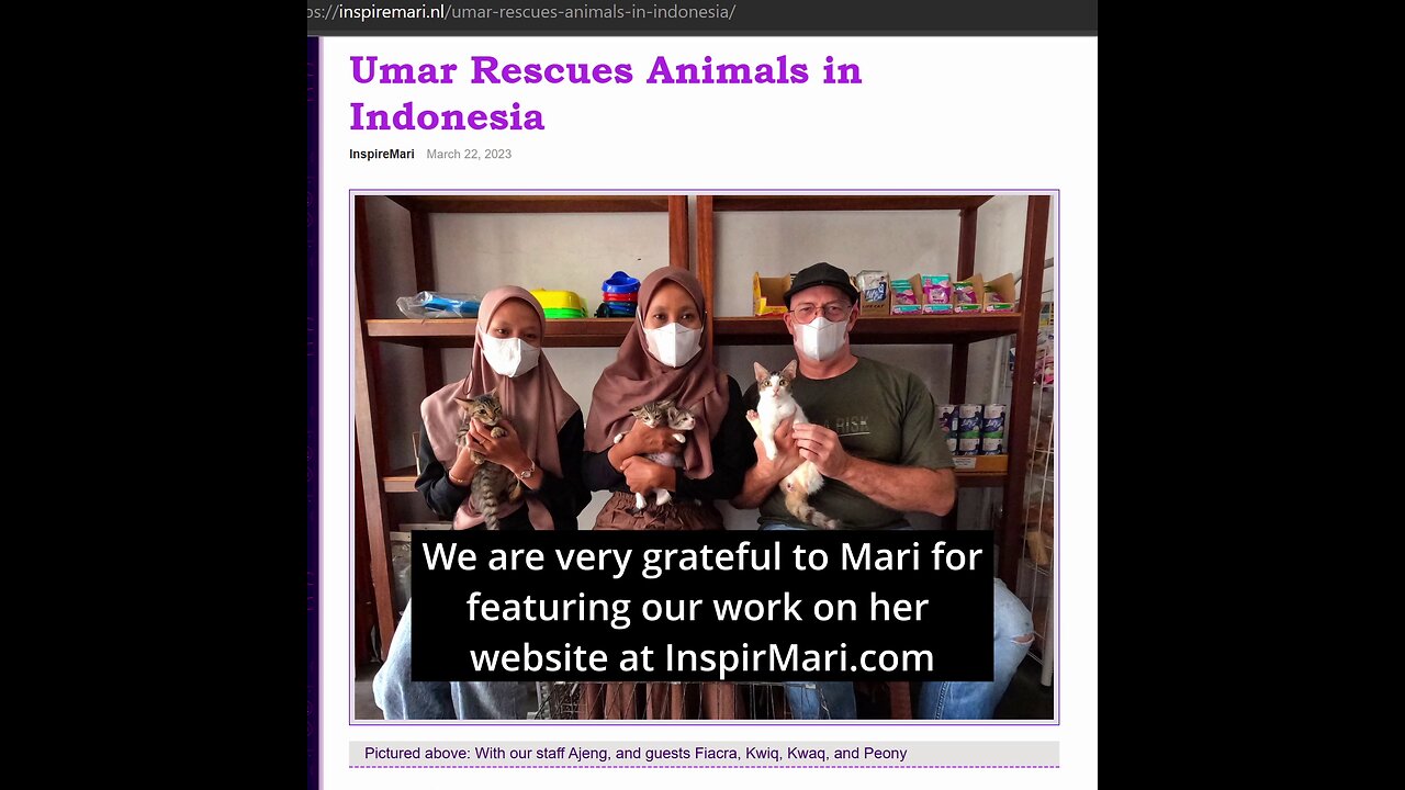 inspiremari.nl/ - An Irish man rescuing kittens in Indonesia