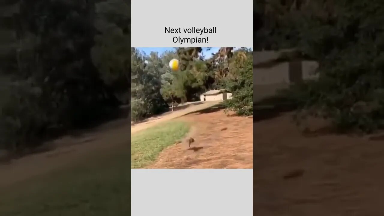 Next volleyball Olympian!