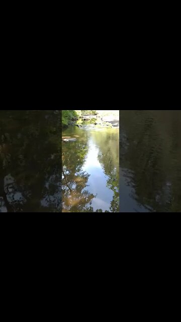 ASMR | Nature Sounds | Peaceful Reflections