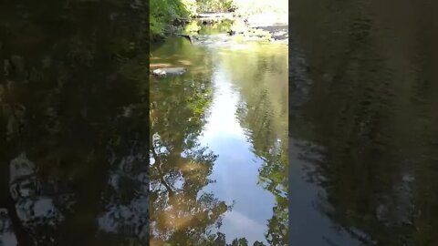 ASMR | Nature Sounds | Peaceful Reflections