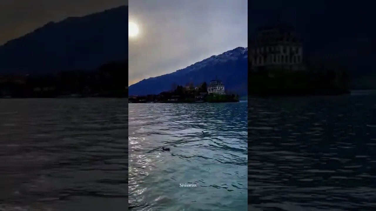 POR FAVOR INSCREVA ME AJUDA - PLEASE SUBSCRIBE HELP ME