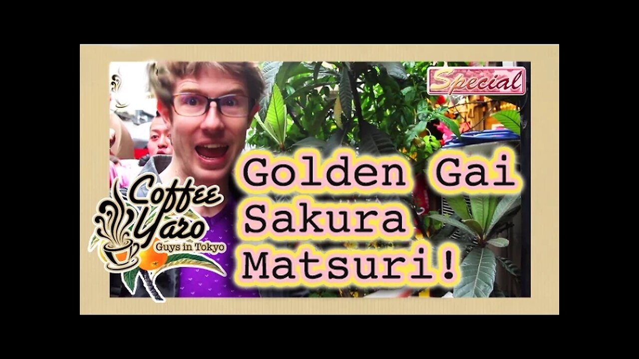 Coffee Yaro - Golden Gai Sakura Matsuri （コーヒーヤロー）ゴールデン街桜祭り