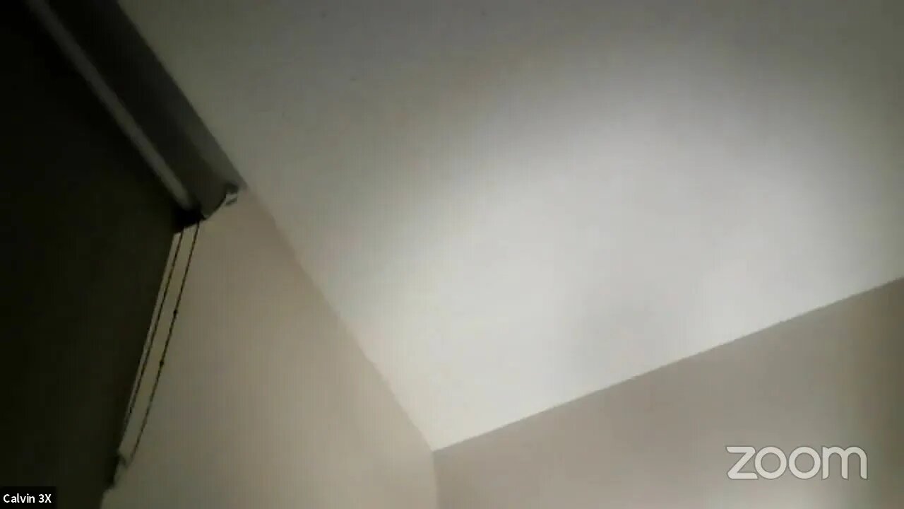 Calvin 3X's Zoom Meeting