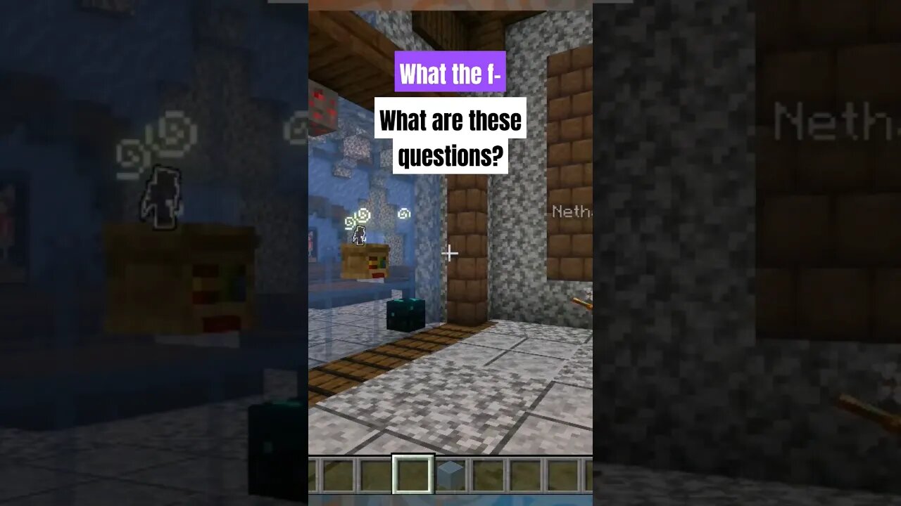 The most confusing question yet #minecraft #funny