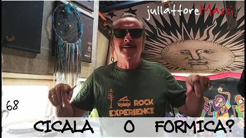 CICALA O FORMICA? Per Te 68 Creativo di Strada jullattoreMassi Vivo in Camper