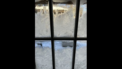 A cold, winter morning on the farm