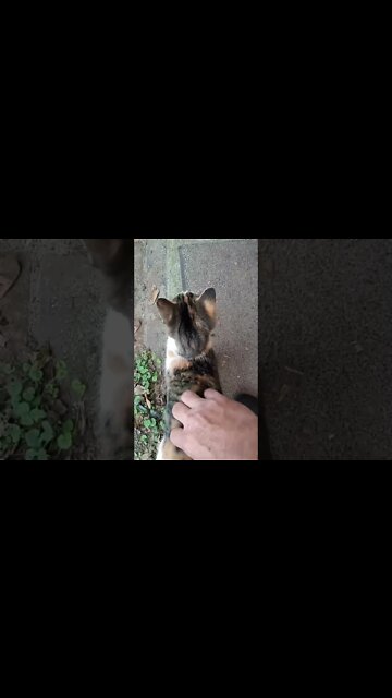 Getting Some Love This Morning