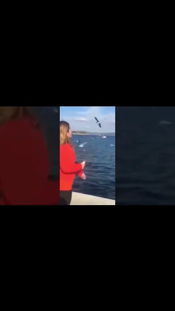 adeus celular 😂😂😂