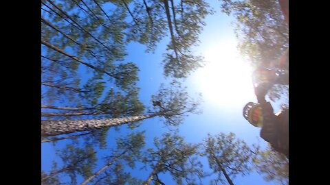 Ocala National Forest 3 26 2022