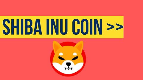 Shiba Inu Meme Coin Still Holding Strong