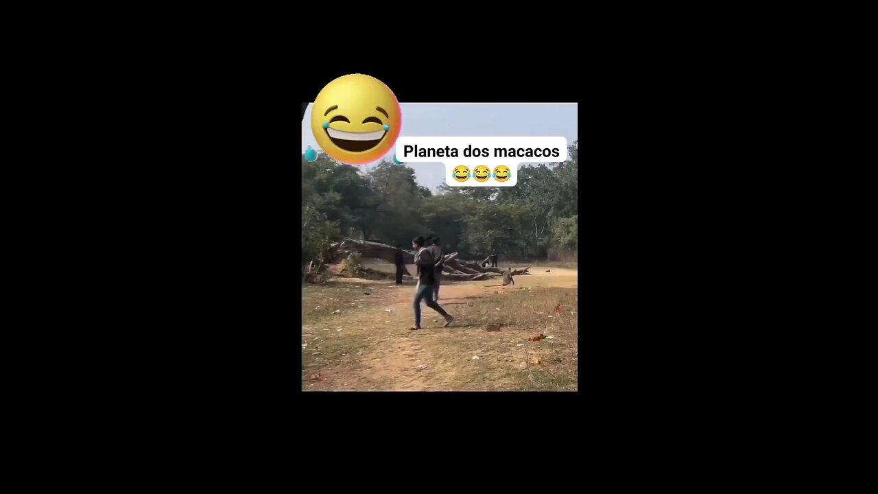 village funny videos