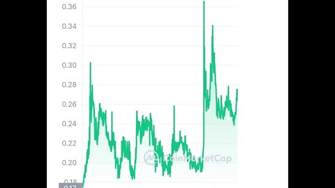 Bitcoin na área: Como está o mercado de friptomoedas?