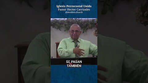 La gracia divina llega también a los perros gordinflones: ¿Por qué ponerlos a dieta?