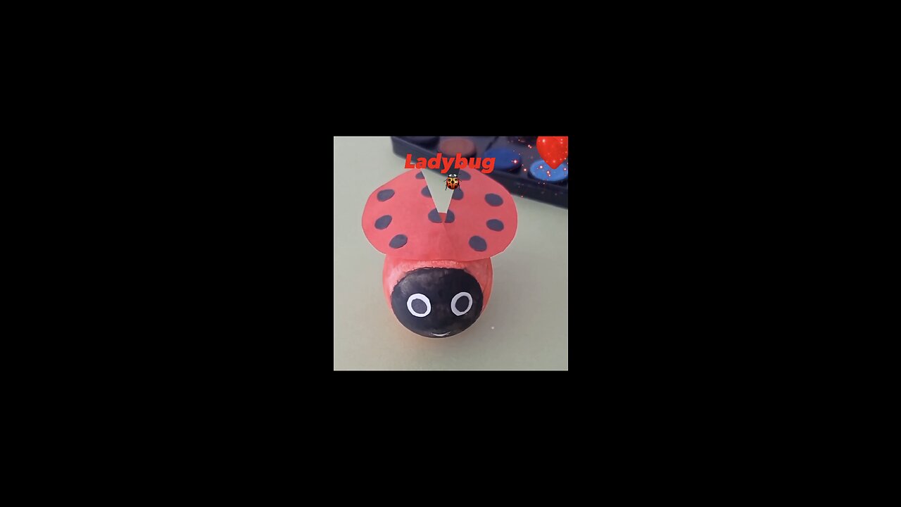 Ladybug 🐞