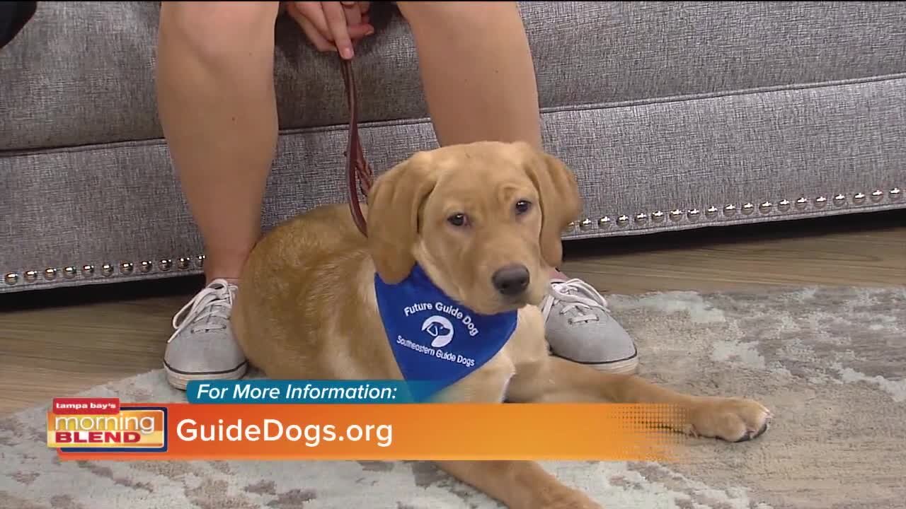 Southeastern Guide Dogs | Morning Blend