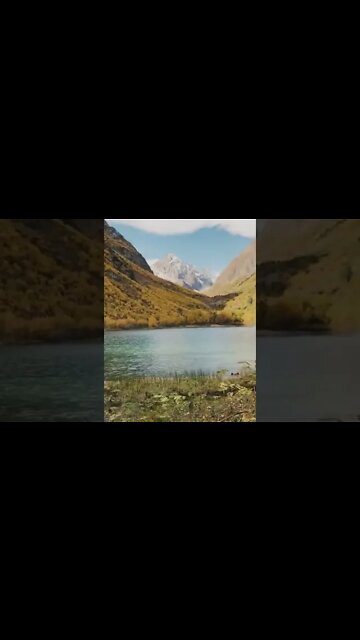 Best Relaxing Sound & Video | Peaceful River | #shorts