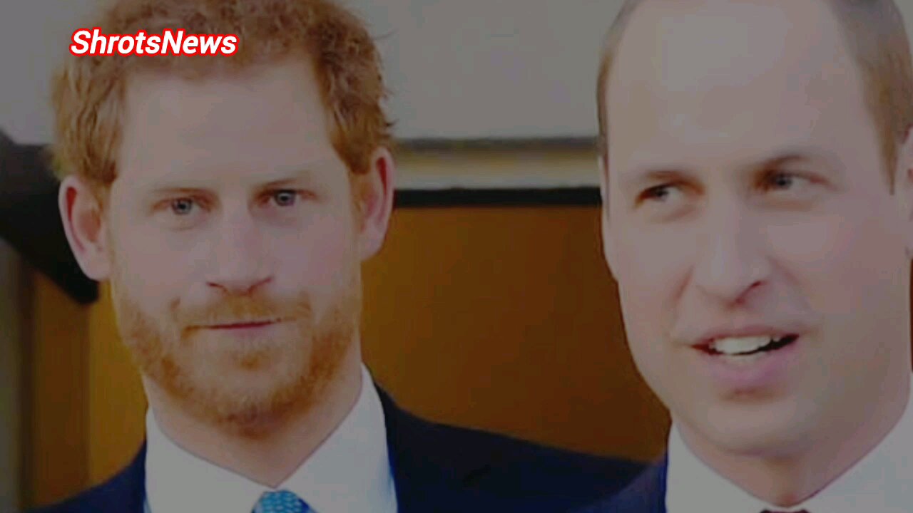 Prince Harry likely to reunite with brother Prince William