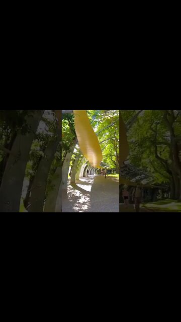 A fine morning in Brisbane