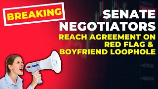 BREAKING NEWS: Senate Negotiators Reach Agreement On Red Flag & Boyfriend Loophole!