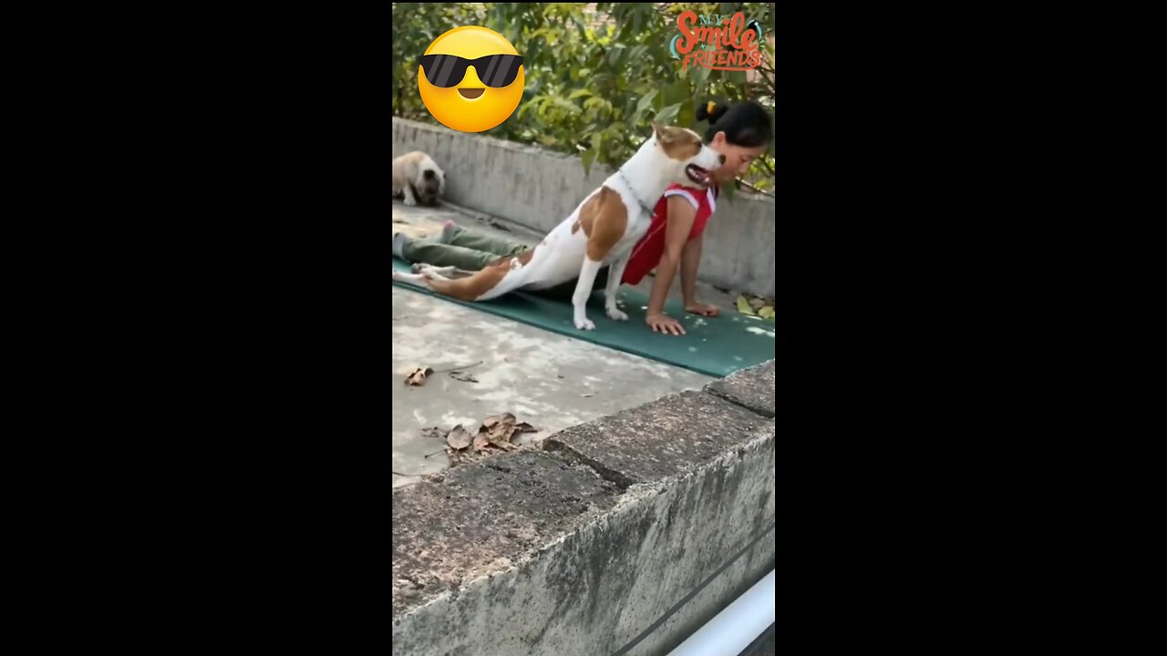 New Funny Videos 2024 😍 Funniest Cats & Dogs Videos🐶😹