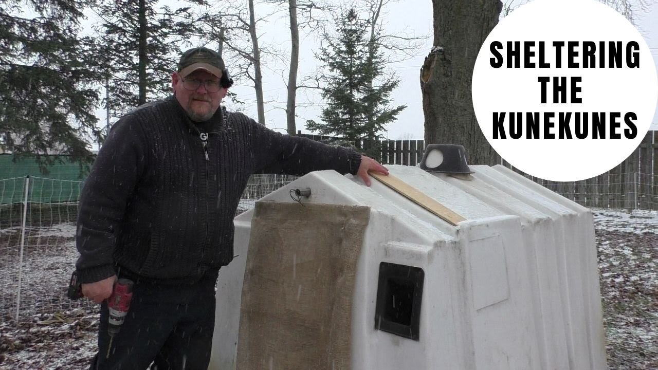 Getting the Kune Kune Pig Shelter Ready for Winter