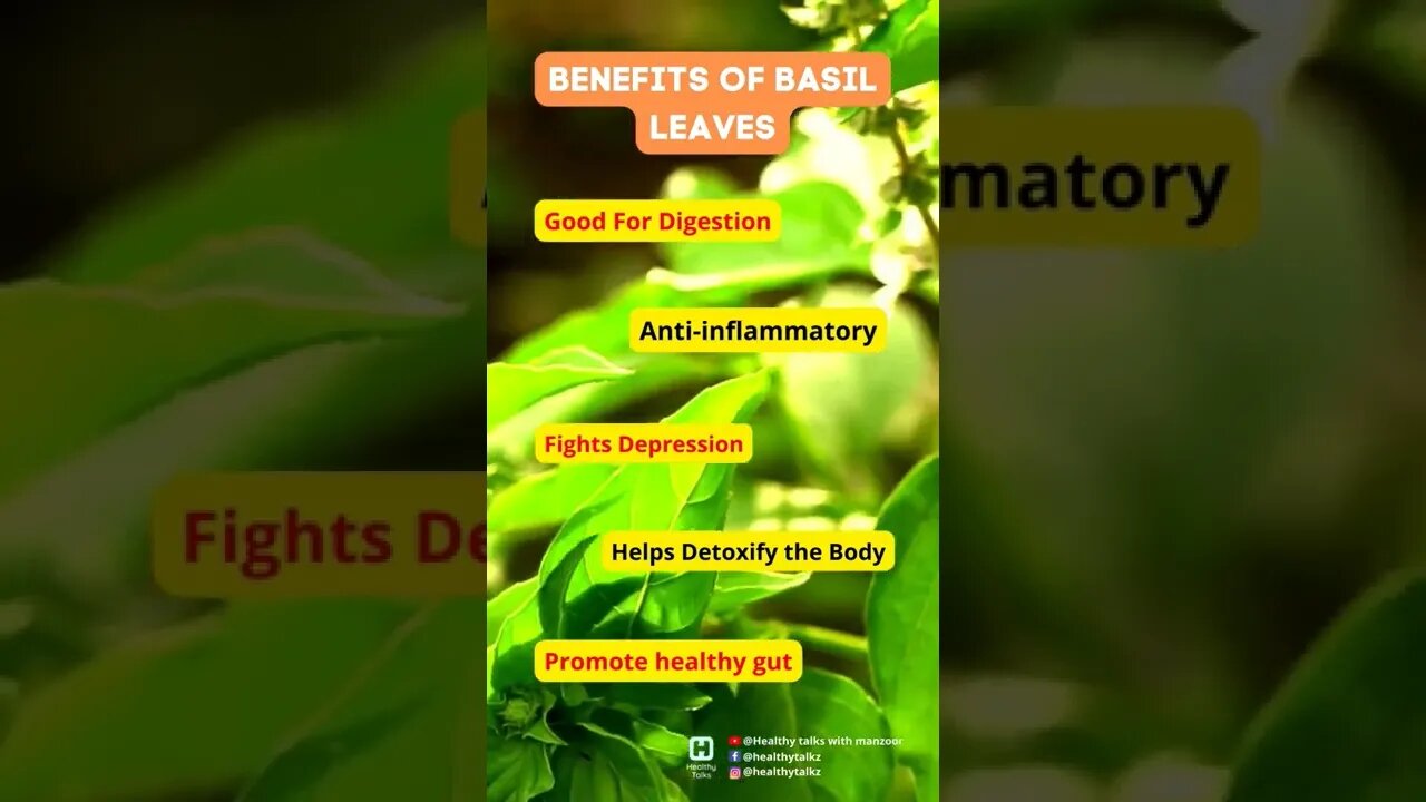 Basil leaves benefits #shorts