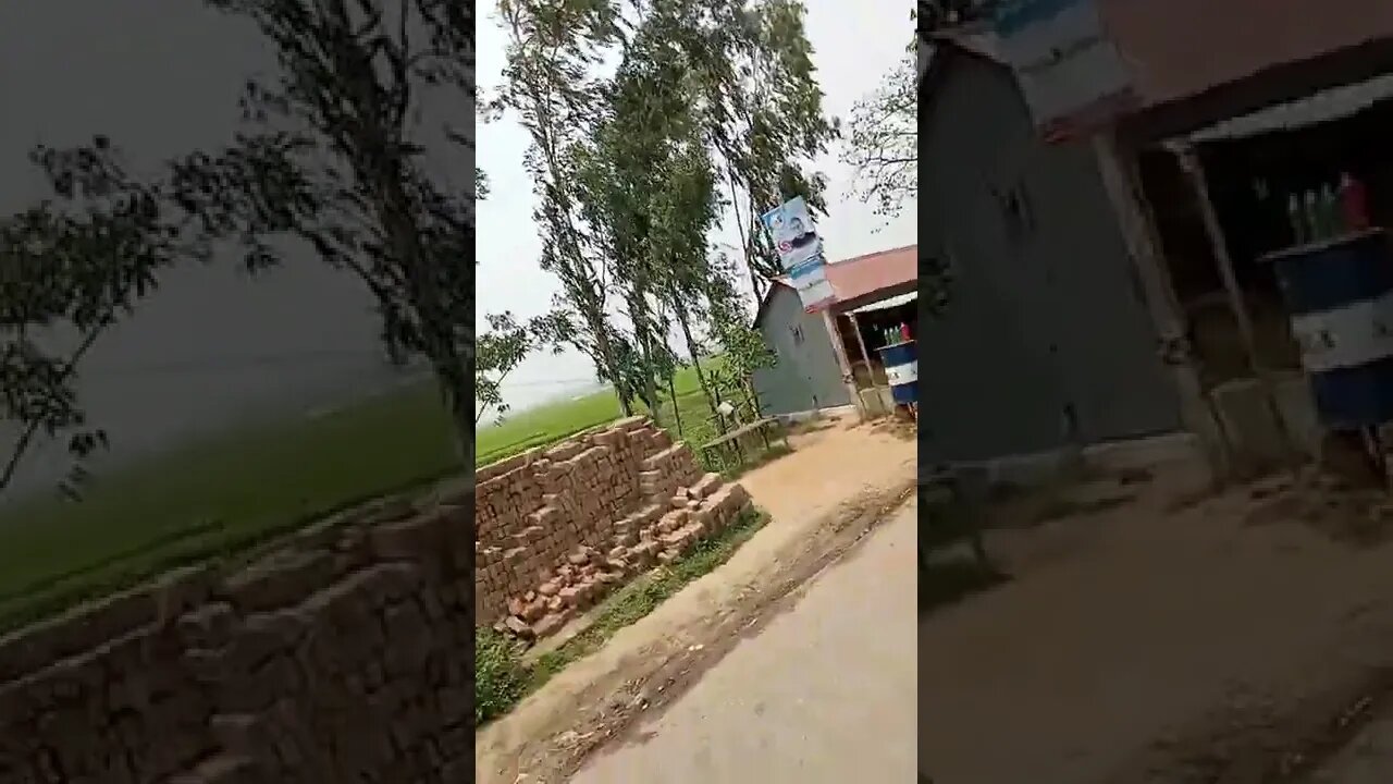 বাংলার প্রকৃতি সবুজ ঘেরা একটি গ্রামের দৃশ্য