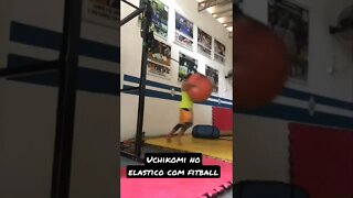 Uchikomi no Elástico com FitBall