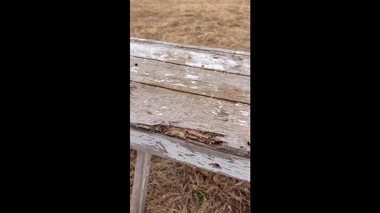 Pew View got a Copperhead 🐍 Last day to get a coffee mug ☕️ Link in bio 💻
