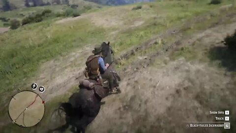 Red Dead Redemption 2 part 10