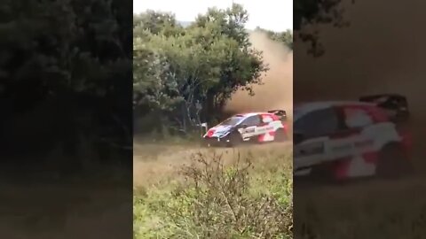 #SUBSCRIBE PLEASE - INCREVA POR FAVOR