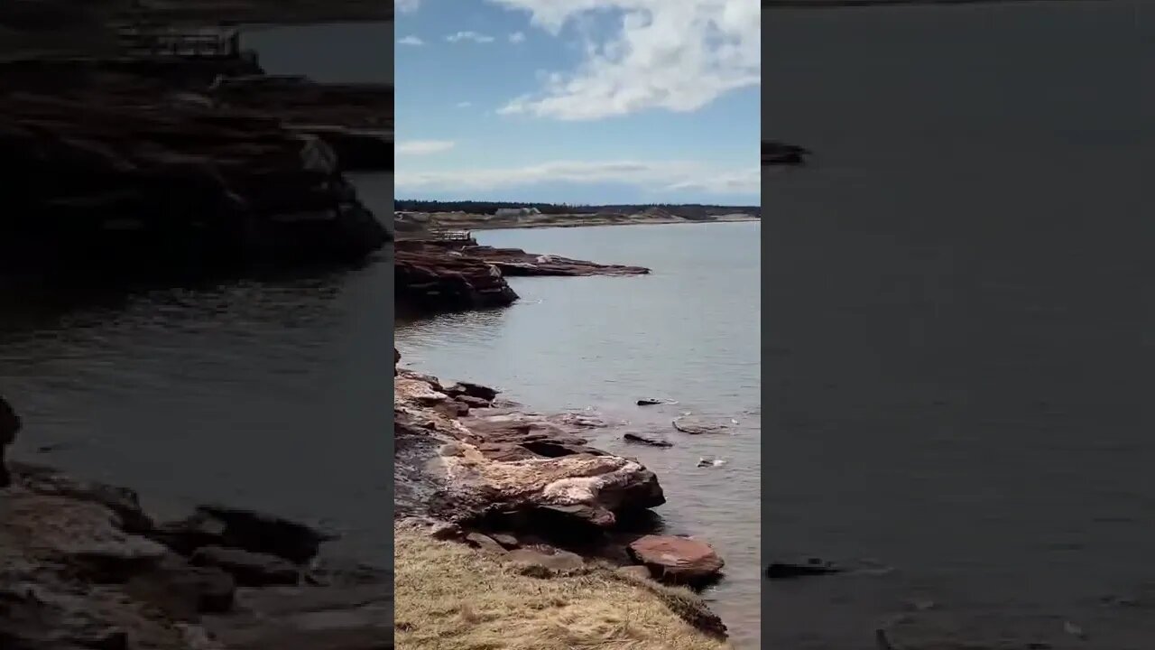 Beautiful cliffs in the spring